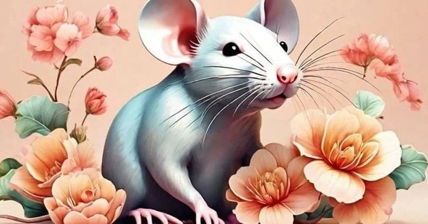 Ngay tuần khai xuân của năm mới Giáp Thìn 2024, top 4 con giáp này vận đỏ như son