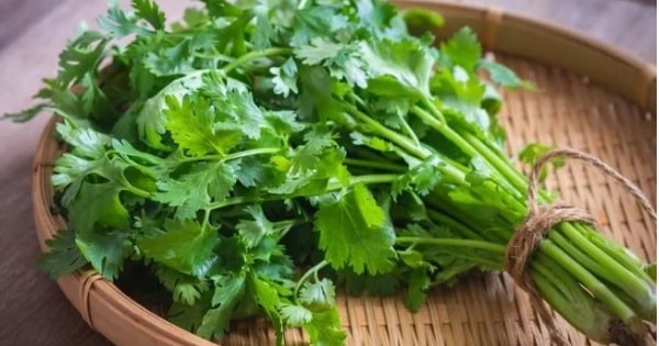 Bất ngờ 7 nhóm người này được khuyến cáo không nên ăn rau mùi