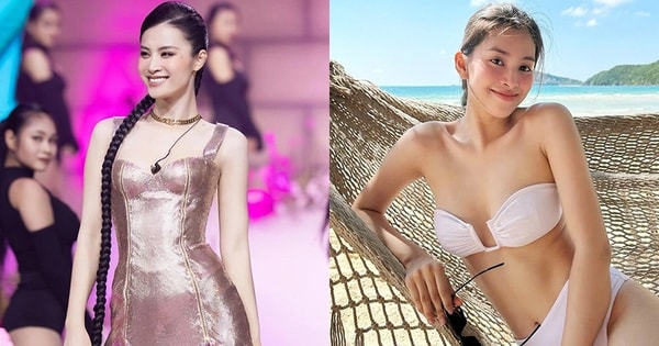 Phong cách gợi cảm, sang chảnh của dàn mỹ nhân tuổi Rồng