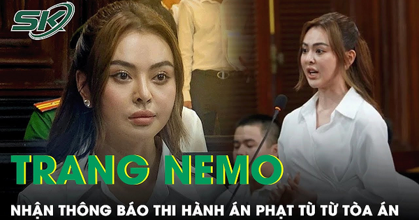 Sau gần 6 tháng trì hoãn, tòa chính thức thông báo thi hành án phạt tù đối với Trang Nemo