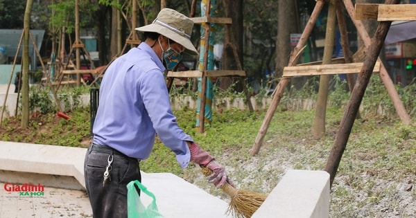 Công nhân thêm mảng xanh cho vườn hoa Hàng Đậu sau phản ánh bị 'bê tông hóa'