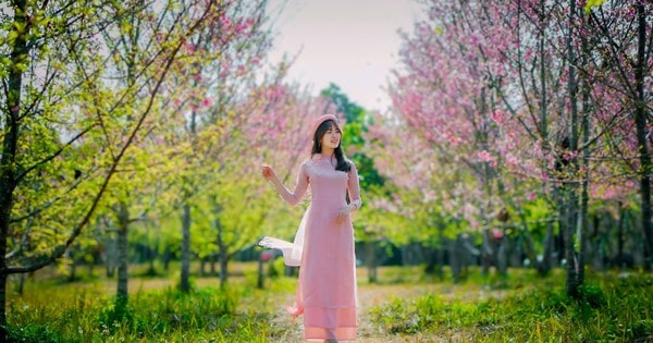 Hàng loạt chương trình hấp dẫn sẽ diễn ra tại lễ hội Hoa Ban 2024