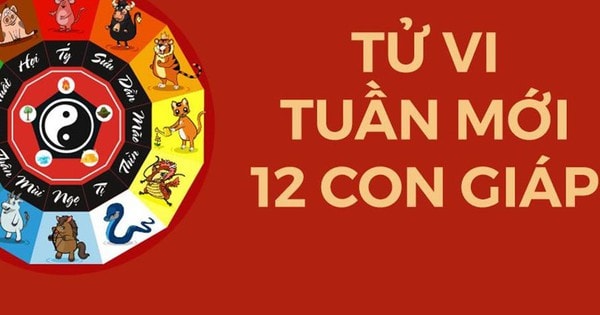 Tử vi tuần mới từ 11/3 đến 17/3/2024: Hết lận đận, 4 con giáp này mở cửa đón Thần Tài, thu nhập nhiều khởi sắc