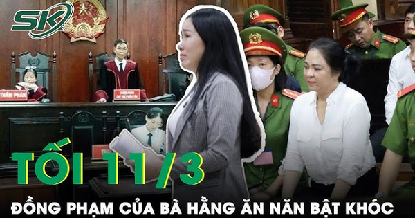 Tối 11/3: Đồng phạm bà Nguyễn Phương Hằng khóc nấc khi được toà hỏi về sự vắng mặt các bị can