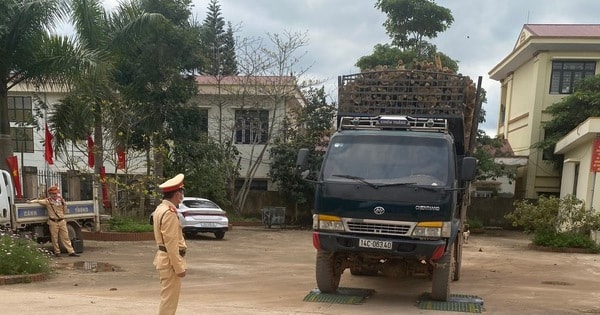 Bắc Giang: Công an huyện Sơn Động kiểm tra, xử phạt hàng trăm trường hợp vi phạm quá khổ, quá tải