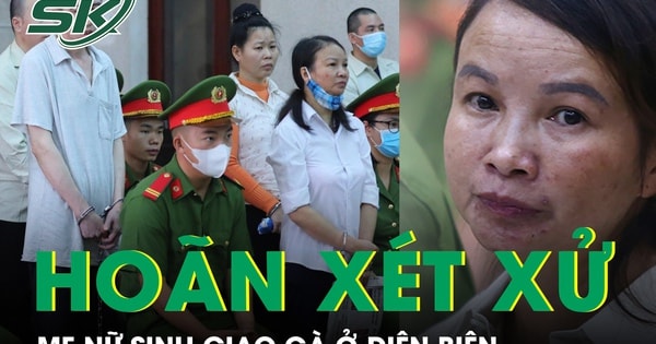 Hoãn phiên tòa xét xử mẹ nữ sinh giao gà ở Điện Biên do bị cáo liên tục ngất xỉu