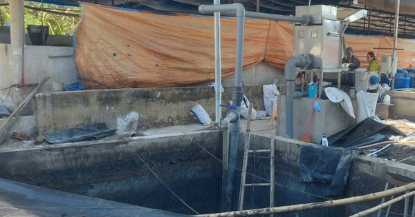 3 người tử vong trong trang trại chăn nuôi