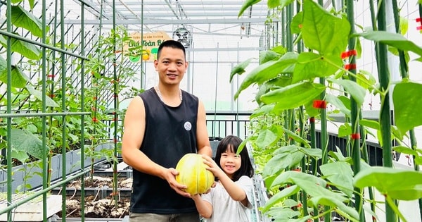 Ông bố ở Hà Nội chi nửa tỷ đồng làm vườn rau sân thượng