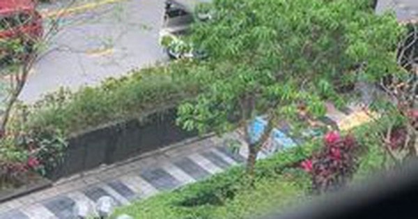 Thông tin mới vụ người phụ nữ rơi từ tầng cao, tử vong thương tâm tại chung cư The K Park