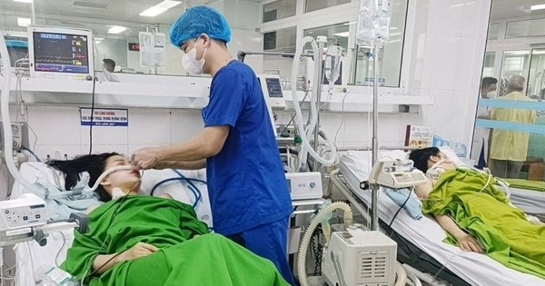 Ăn cơm trưa với 'rau lạ', 2 chị em ở Phú Thọ nguy kịch, phải nhập viện rửa dạ dày