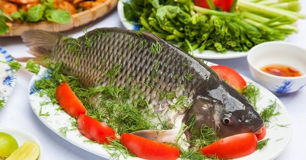 'Giật mình' với công dụng của loài cá phổ biến trên thế giới mà không phải ai cũng biết