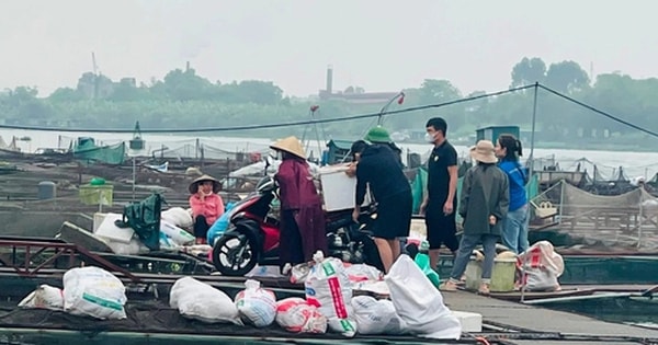 Hàng trăm tấn cá lồng chết ở Hải Dương: Thiệt hại sơ bộ 50 tỷ đồng