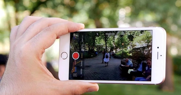 Quay clip ăn thịt chim đăng lên MXH có vi phạm pháp luật không?