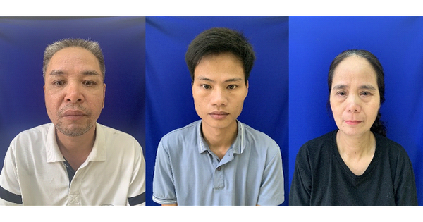 Khởi tố Giám đốc Công ty Cổ phần Sản xuất vật liệu xây dựng vì trốn thuế