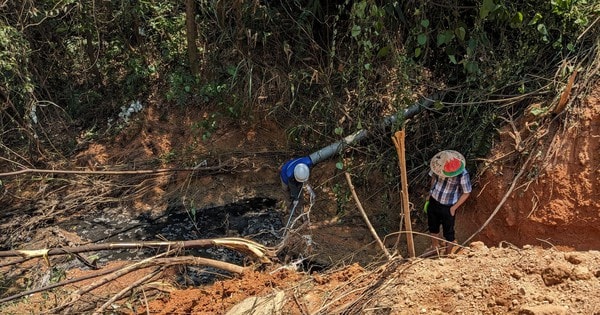 Vụ cá chết hàng loạt ở khe Rào Trường: Xử phạt chủ trang trại heo 155 triệu đồng vì gây ô nhiễm môi trường