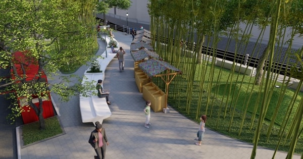 Hà Nội sẽ có cả 'rừng trúc' xung quanh hồ Trúc Bạch