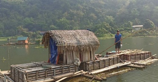 Bất ngờ nguyên nhân khiến cá chết hàng loạt trên sông Mã ở Thanh Hóa