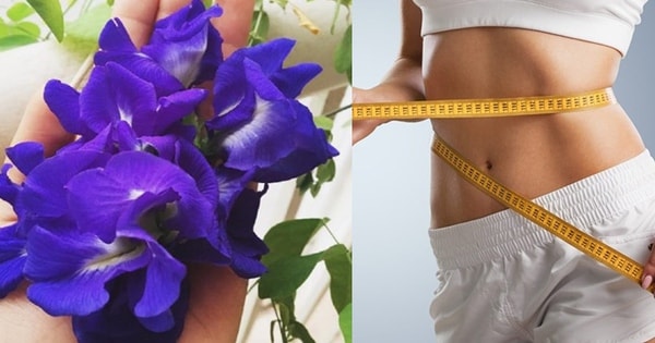 Chuyên gia phân tích cách giảm cân với trà hoa đậu biếc không phải ai cũng biết