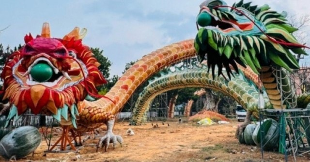 Bị phạt 90 triệu vì mang cặp linh vật rồng từ đường hoa Nguyễn Huệ lên gắn ở Đà Lạt