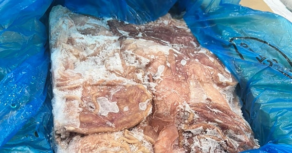 Hà Nội: Kiểm tra kho lạnh ở khu công nghiệp, bất ngờ phát hiện 11,9 tấn dạ dày lợn nhiều 'không'