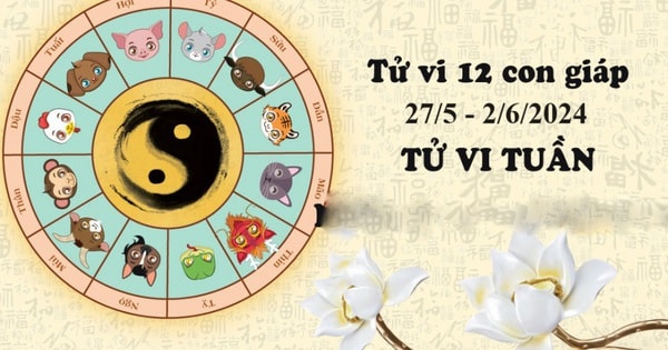 Tử vi tuần mới 12 con giáp từ 27/5 - 2/6/2024: Ngọ may mắn thuận lợi, Tị lên xuống thất thường