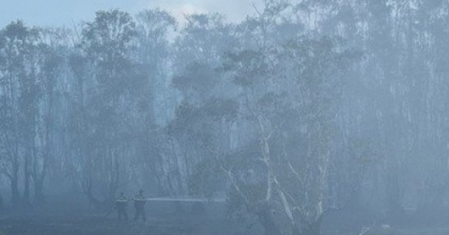 Công an vào cuộc điều tra nguyên nhân cháy Vườn Quốc gia Tràm Chim