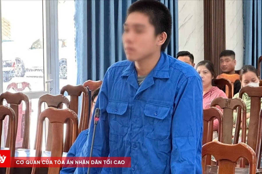 Cướp giật túi của người đi đường, lấy tiền tiêu xài rồi ra đầu thú