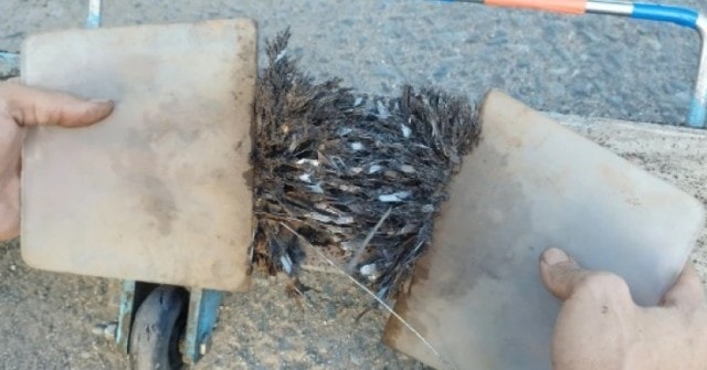 Buổi tối đi hút sạch đinh, sáng ra 'đinh tặc' đã rải ở cầu vượt Linh Xuân