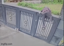 Cụ bà 92 tuổi trèo cổng cao hơn 2 m trốn viện dưỡng lão