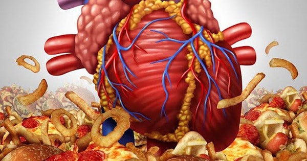 3 mối nguy hại của chất béo chuyển hóa đối với sức khỏe