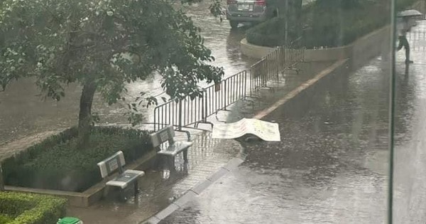 Hà Nội: Nam thanh niên rơi từ tầng cao chung cư, tử vong tại chỗ ở Hà Đông