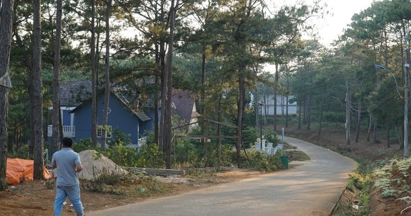 Thu hồi thông báo giới thiệu 39 lô đất làm biệt thự ở Măng Đen