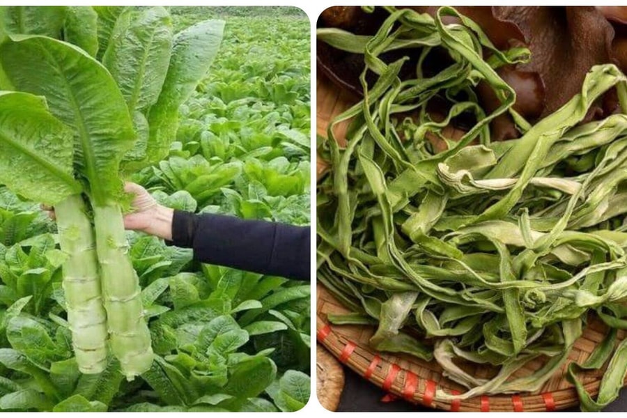 Loại rau dễ trồng giúp thải độc lại phòng ngừa ung thư cực tốt