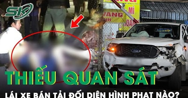 Vụ tai nạn tàu hỏa ở Đồng Nai: Lái xe bán tải đối diện hình phạt nào?