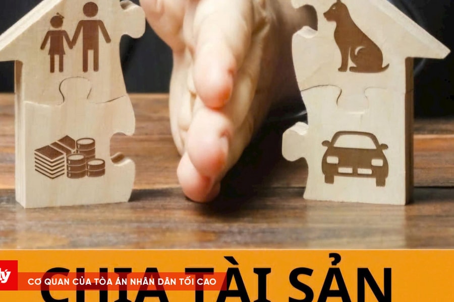 Vụ án ly hôn, chia tài sản: Bác toàn bộ kháng cáo, giữ nguyên bản án sơ thẩm