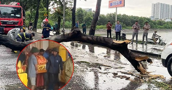 Chồng nạn nhân bị cây đè tử vong ở Hà Nội: "Tôi dặn vợ nếu mưa to quá thì mai hãy về"