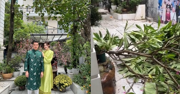 Á hậu Thanh Tú thất thần nhìn biệt thự tả tơi sau bão, tiếc nuối một góc chứa nhiều kỷ niệm