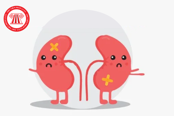 Bệnh suy thận mãn có phải là bệnh hiểm nghèo hay không? Có được hưởng 100% BHYT không?