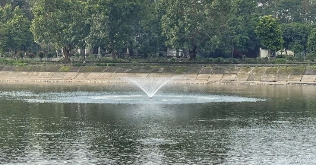 Xôn xao clip cá nhảy tanh tách khỏi mặt nước hồ Linh Đàm