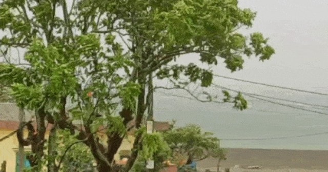 Giám đốc Trung tâm Dự báo Khí tượng thuỷ văn cảnh báo độ nguy hiểm của bão số 4