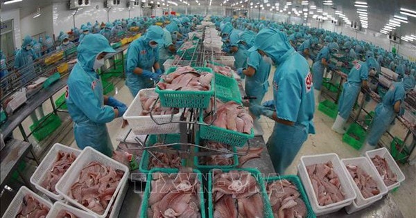 Bộ Thương mại Mỹ tuyên bố Việt Nam không bán phá giá sản phẩm cá tra