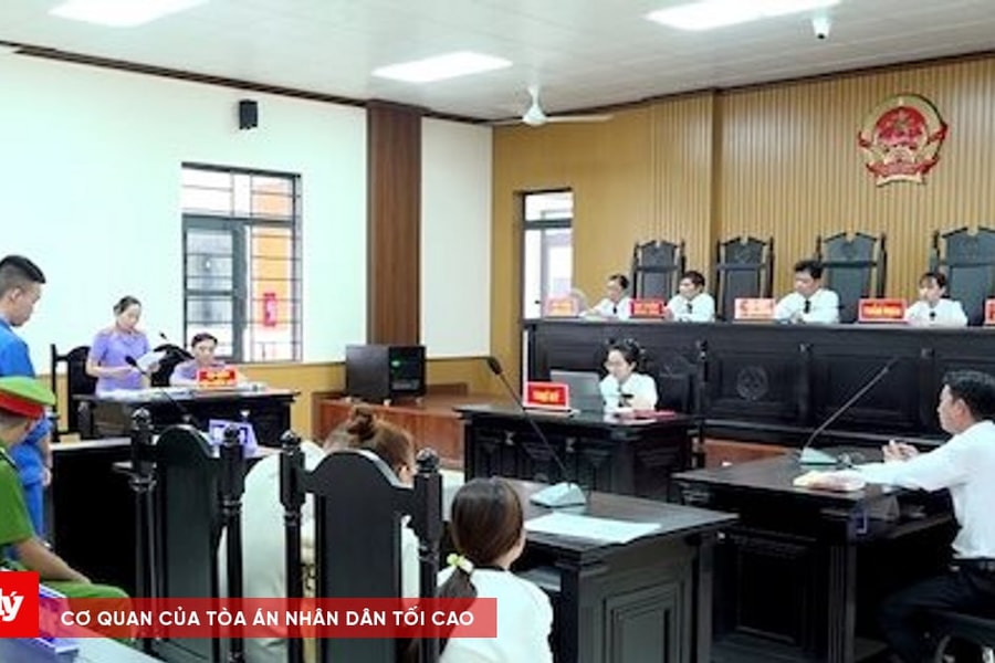 Pha thuốc diệt cỏ vào nước uống nhằm đầu độc cha