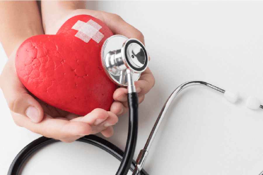 Trái tim có mấy ngăn?