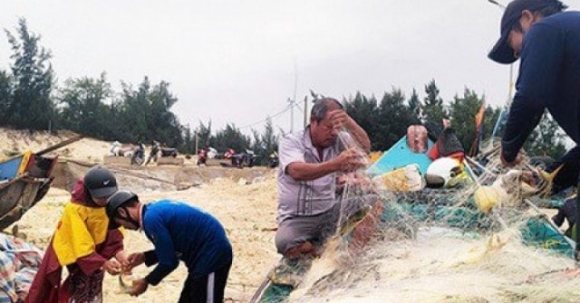 Trúng đậm luồng cá chim vàng, ngư dân Quảng Bình thu 270 triệu trong một buổi chiều