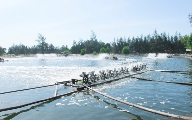 Có được chuyển đất nuôi trồng thủy sản sang đất trồng cây lâu năm?