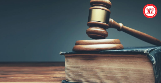 Văn bản mới cập nhật từ ngày 19 - 22/10/2024