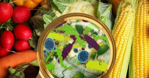 4 loại rau và 3 loại củ là 'tổ ký sinh trùng', loại rau đầu tiên nhiều nhà có thói quen ăn sống thường xuyên