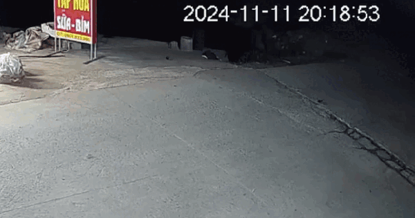 'Quái xế' kẹp 3, không đội mũ bảo hiểm, chạy xe ngược chiều gây tai nạn