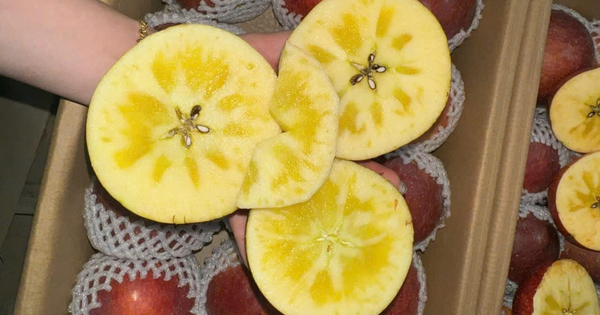 'Táo mật Trung Quốc giá chỉ 10 nghìn/kg mà ngon như táo Nhật tiền triệu'?