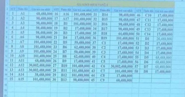 Huyện Sóc Sơn nói gì về việc người trả giá 30 tỷ đồng/m2 'than' có áp lực tại phiên đấu giá?